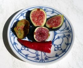 Figs1.jpg